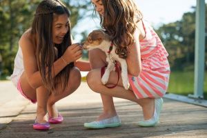 A gyerekek viselkedésére fogékonyabbak a kutyák